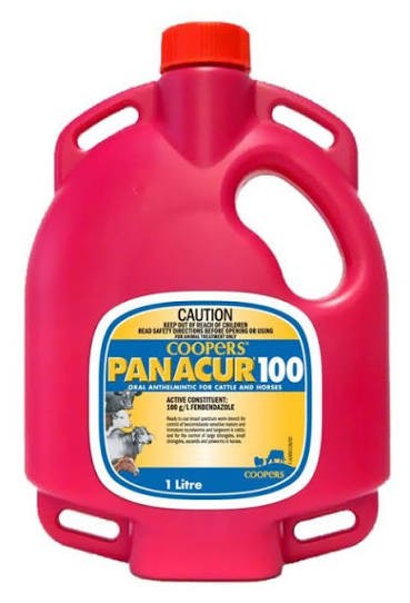 Coopers Panacur 100 5ltr