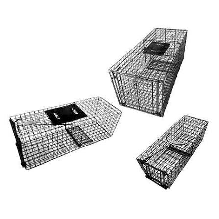 Bainbridge Animal Trap Premium