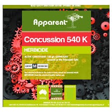 Apparent Concussion