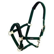 Bainbridge Horse Halter Green Pony