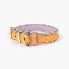 Ezy Dog Oxford Dog Collar Medium