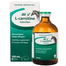 Ceva L-Carnitine 100ml