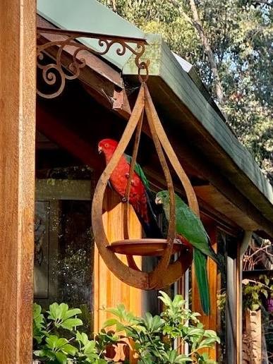 OND Metal Bird Bath/Feeder Teardrop With Hanging Bracket