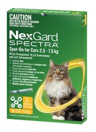 Nexgard Spot On For Cats