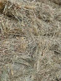 Tully's Native Grass Square Bale