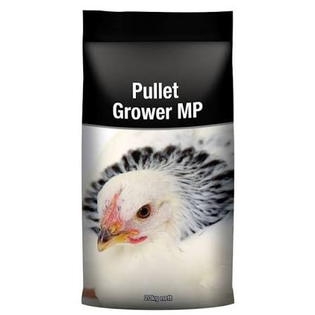Laucke Pullet Grower