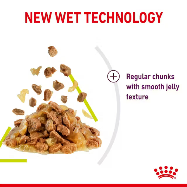 ROYAL CANIN CAT SENSORY SMELL JELLY 85G