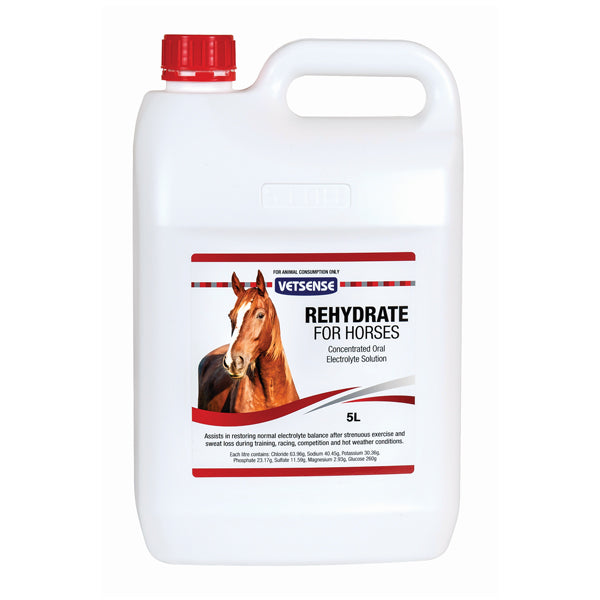 VETSENSE REHYDRATE HORSE 1L