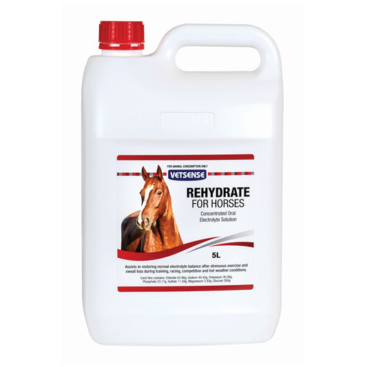 VETSENSE REHYDRATE HORSE 1L