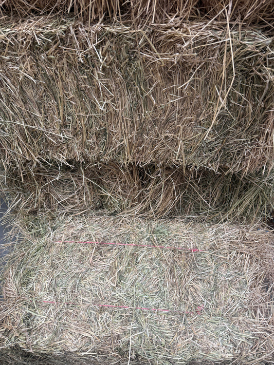HAY RYE PREMIUM (tested)