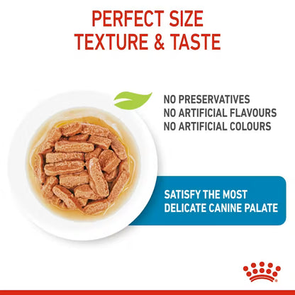 ROYAL CANIN PUPPY MEDIUM WET 140G