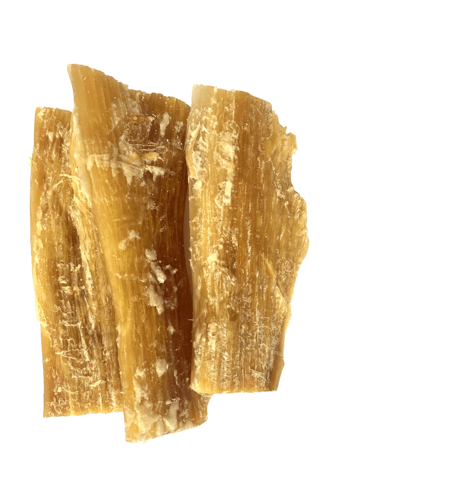 TRUE BLUE AUSSIE BEEF TENDONS 3PCS