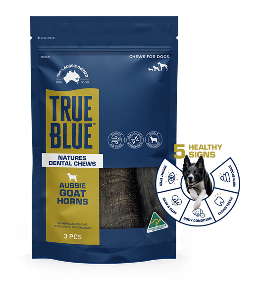 TRUE BLUE AUSSIE GOAT HORNS 3PCS