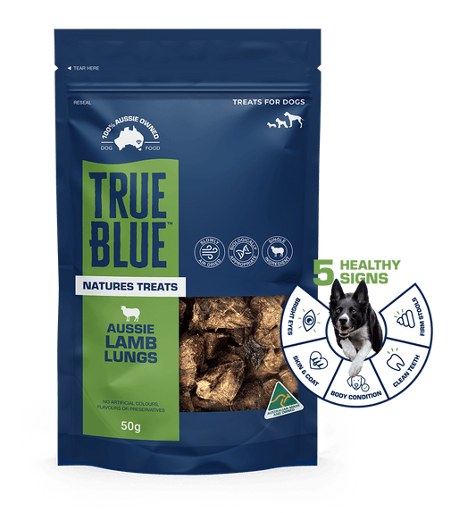 True Blue dog treat package with branding and product details on a green background