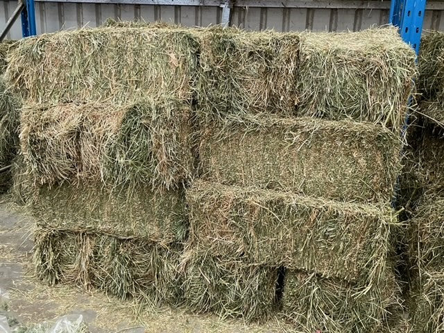 Tullys Grass Hay
